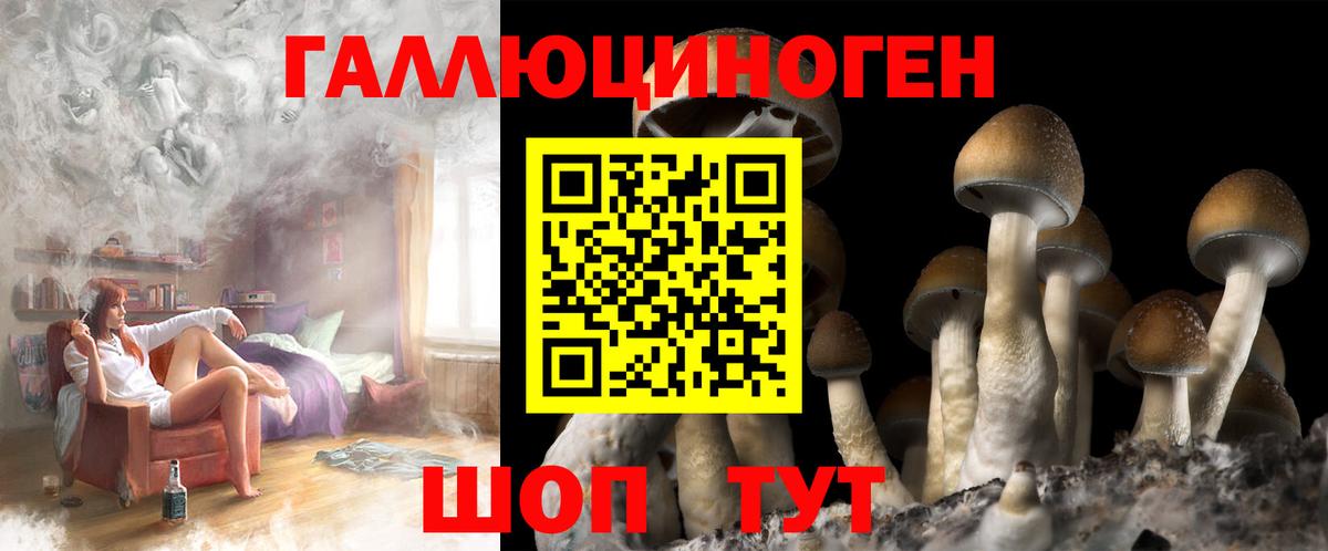 Псилоцибиновые грибы Psilocybine cubensis Нурлат